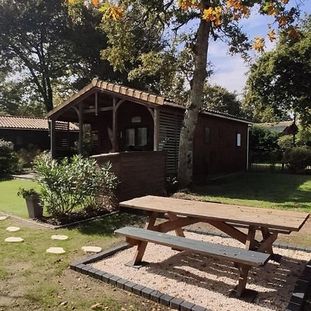 Chalet Prestige Au Coeur Du Bassin D'Arcachon Ла-Тест-де-Бюш Экстерьер фото